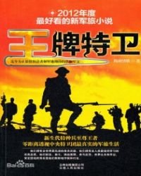 王牌特衞1