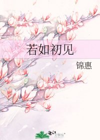 若如初見